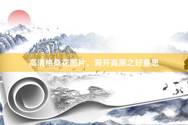 高清格桑花图片，洞开高原之好意思