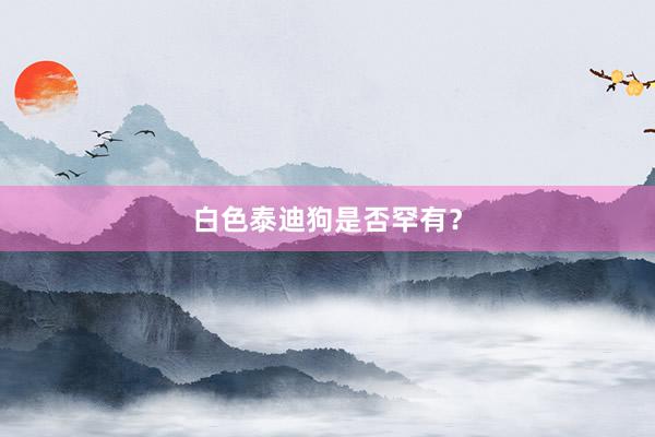 白色泰迪狗是否罕有？