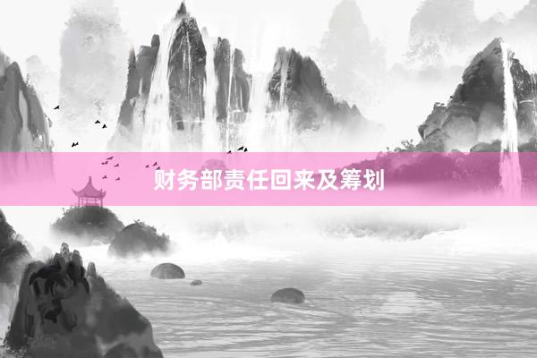 财务部责任回来及筹划